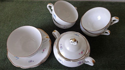 Tiny floral tea set with old haas and czjzek