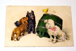 Antik motívum   képeslap  kutyák