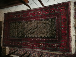 Rare eastern Turkestan middle boteh patterned hand-knotted rug with herat border