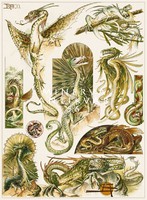 Dragons iii. A.Seder 1896 Art Nouveau print reprint, fantasy, mythology, legend, fictional creatures