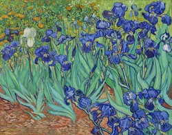 Vincent van Gogh - Íriszek - reprint
