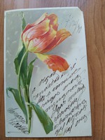 Régi szép képeslap, tulipán, 1927
