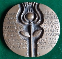 Tamás Femme, art award medal, in its original box