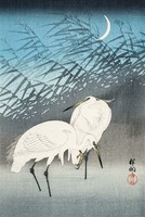 Ohara Koson - Kócsagok az éjben - reprint