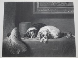 Sir Edwin Landseer kutya kép acél metszet 19. sz , XIX. század könyv tábla lap The Cavalier's pets
