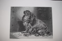 Sir Edwin Henry Landseer kutya kép acél metszet 19. század könyv lap The pet , of the duchess