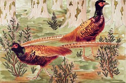 Maurice pillard verneuil - pheasants - reprint