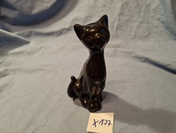 Black cat porcelain