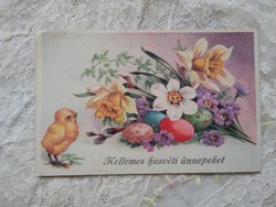 Régi grafikus húsvéti képeslap jácint, csibe, tojások