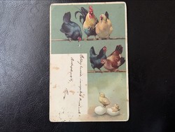 Húsvéti üdvözlőlap 1904. tyúk, kakas, csibe, tojás ….. hosszú címzés