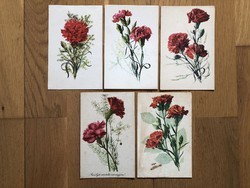 Old carnation floral postcards