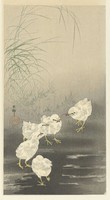 Ohara ram - chicks with earthworms - reprint