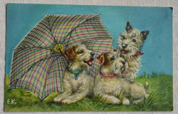 Régi grafikus üdvözlő képeslap kutyák ernyővel