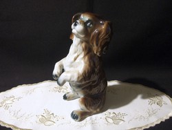 Pitiző porcelán kutya 20 cm magas Iris Cluj porcelán
