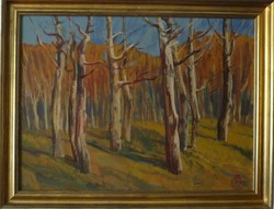 Pagan Géza (1927-2001) - white trees (gallery)