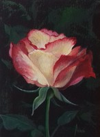 Rózsaszál 1. című festmény - csendélet