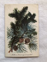 Old Christmas postcard, drawing postcard - drawing of St. John the Baptist