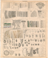 Növény anatómia (1), litográfia 1843, szerkezet, felépítés, mag, levél, szár, győkér