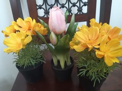 Rózsaszín élethű tulipán cserépben