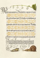 Medieval manuscript calligraphy gilded decoration snail lily of the valley initial 16th manuscript reprint
