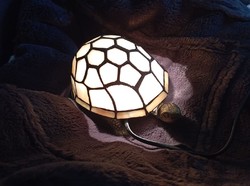 ANtik Tiffany teknős lámpa