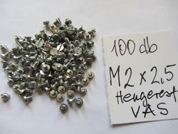M2 × 2.5 mini screw
