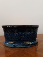Bonsai with ceramic saucer
