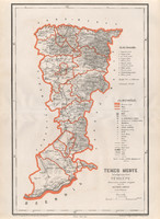 Temes megye közigazgatási térkép 1880, Hátsek Ignácz, Magyarország, járás, Rautmann, Posner