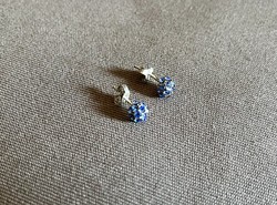 Blue stony silver earrings