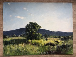 Naturalistic landscape of Sárdy Brutus oil painter