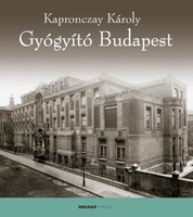 Kapronczay Károly: Gyógyító Budapest
