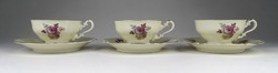 1I260 Old Marked Ivory Pirkenhammer Coffee Set, 3 Pieces