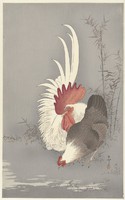 Ohara Koson - Kakas és csirke a folyónál - reprint