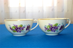 Porcelain cup decorated with 2 bouquets of old rosenthale violets and forget-me-nots