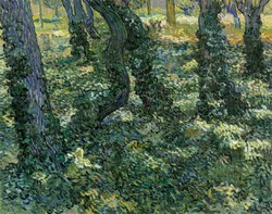 Vincent van Gogh - Aljnövényzet - reprint