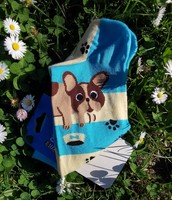 Funny dog socks (French bulldog) dog, puppy