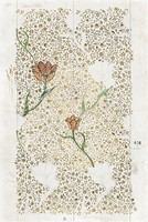 William Morris - Kerti Tulipánok - vakrámás vászon reprint