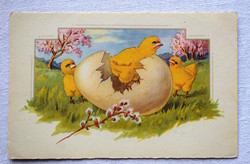 Art Deco grafikus üdvözlő képeslap csibe barka tojás