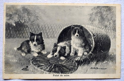 Antik M Serivenet grafikus üdvözlő képeslap kutyusok