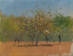 Mednyánszky - flowering trees - canvas reprint on blinds