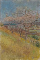 Mednyánszky - garden with flowering trees - canvas reprint on blinds
