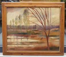 Nánay Szilamér (1952-) : Ma a hold is korán kelt