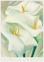 Modern művészeti plakát Georgia O'Keeffe Kála liliom 1924 fehér virág festmény növény természet
