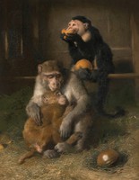 Henry landseer - monkeys - canvas reprint