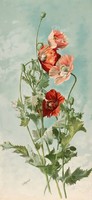 Thaddeus welch - poppy - canvas reprint