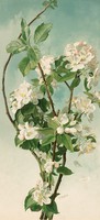 Thaddeus Welch - Almafa virágzás - vászon reprint