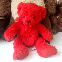 Red teddy bear, russ maci, favorite mascot