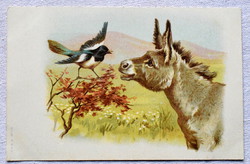 Antik A&M B. litho üdvözlő képeslap  szarka és szamár