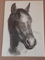 Nagyon szép lófej grafika x