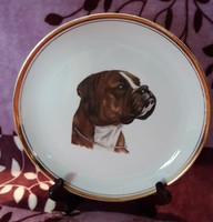 Boxer kutyás porcelán dísztányér, fali tányér (L2230)